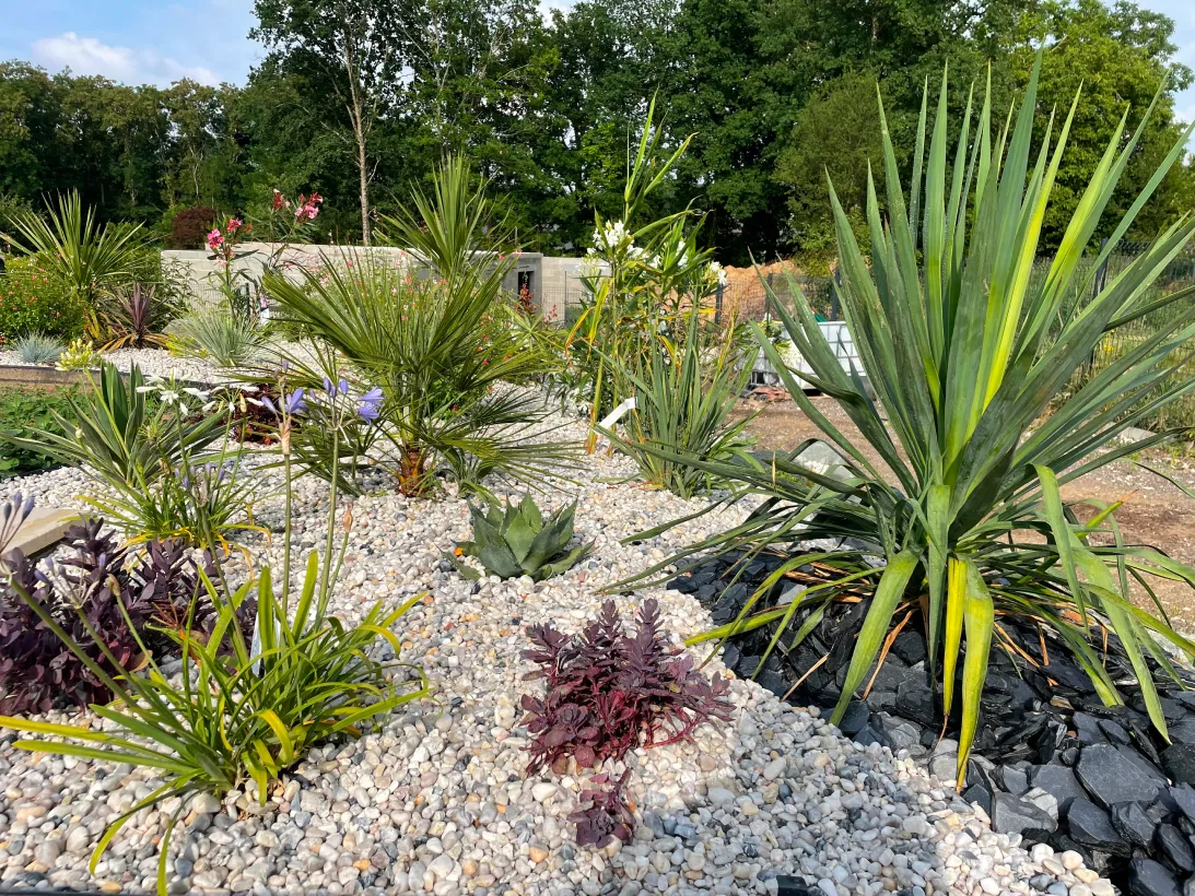 Concept Paysage Paysagistea La Ville Aux Dames Entretien Ponctuel Ou Regulier Pour Un Jardin Impeccable En Toute Saison